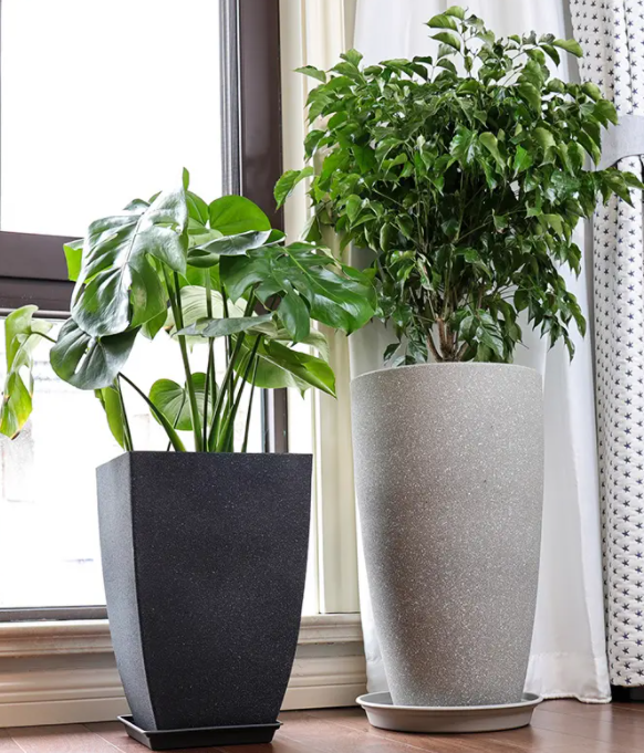 深花盆适合种什么植物