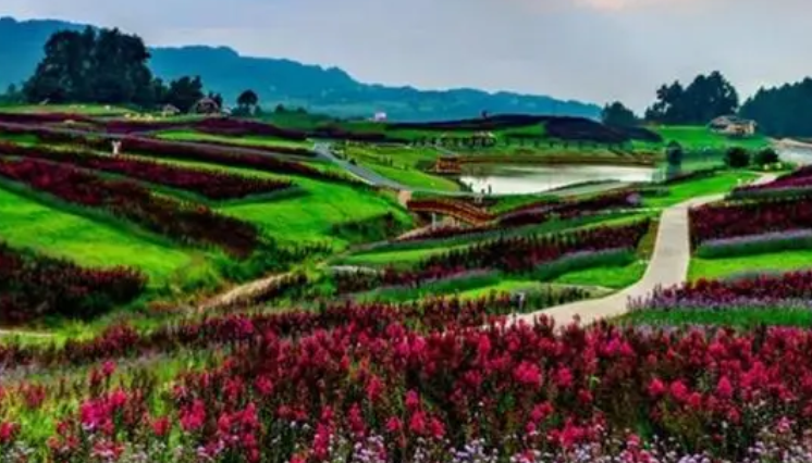 海拔1400米适合种什么