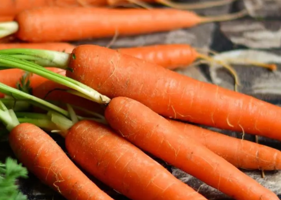 现在天气适合种什么菜