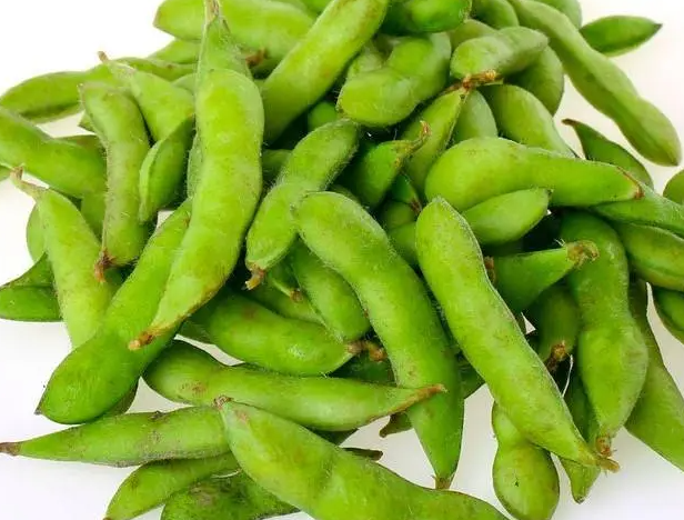 十月适合种什么