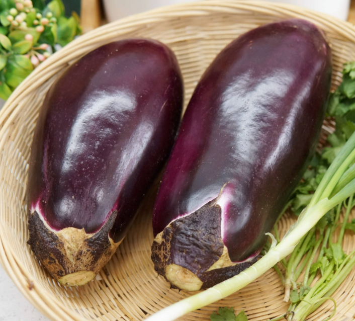 现季节种什么菜适合