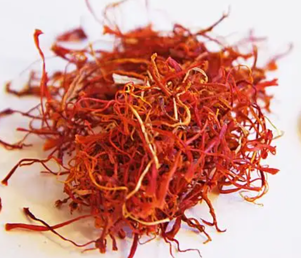 海拔1600米适合种什么