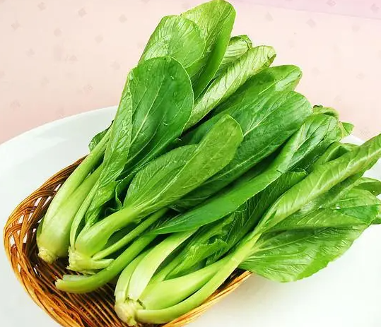 明后适合种什么疏菜