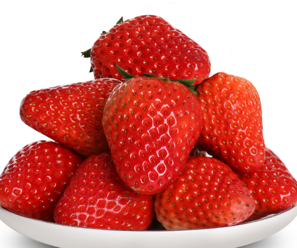 四月份适合种什么水果