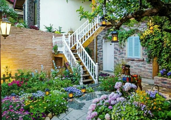 院子里适合种什么