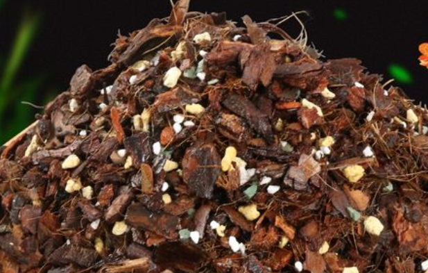 网上买的兰花土全是树皮