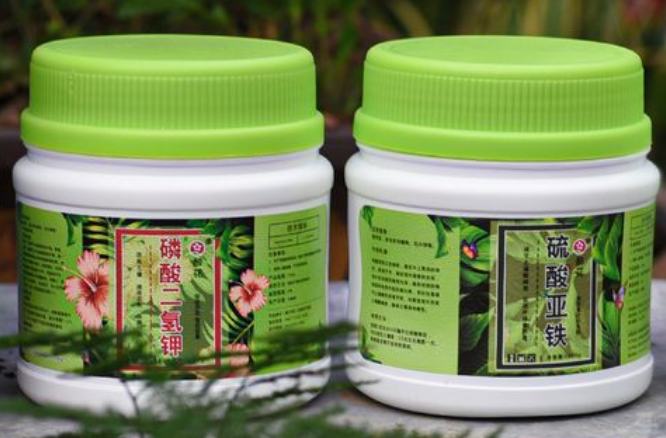 养花用什么肥最好