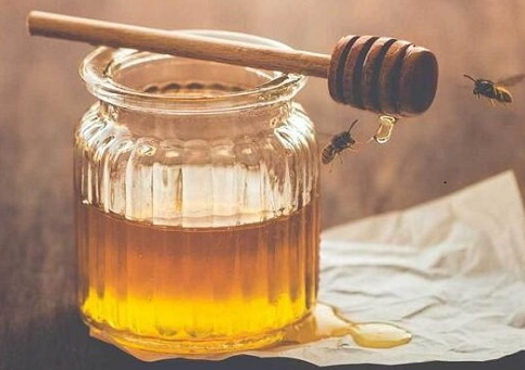 蜂蜜水浇花行不行