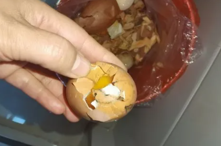 坏鸡蛋怎么处理养花