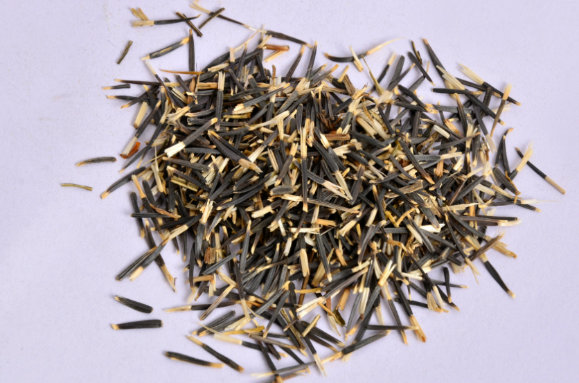 菊花种子是什么样子的