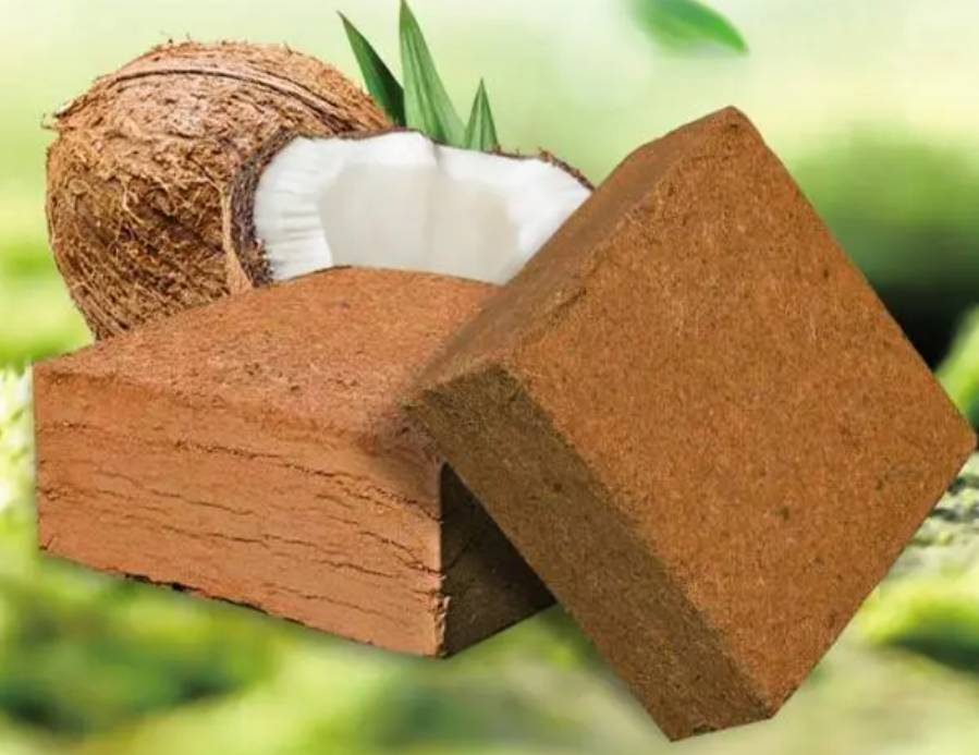 椰壳砖适合哪些花卉