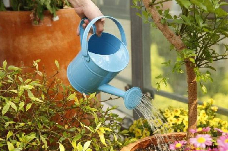 洗手液的水能浇花吗