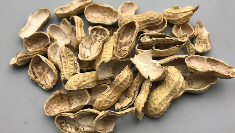 花生壳腐熟方法