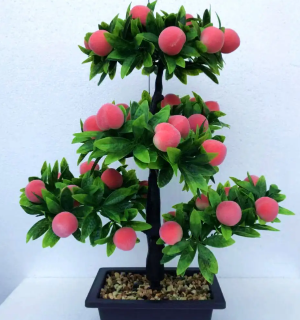 桃树盆栽与盆景制作