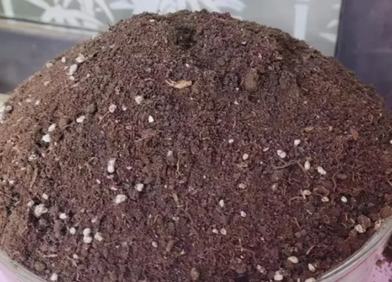 蚕沙发酵多少天可以做花肥料