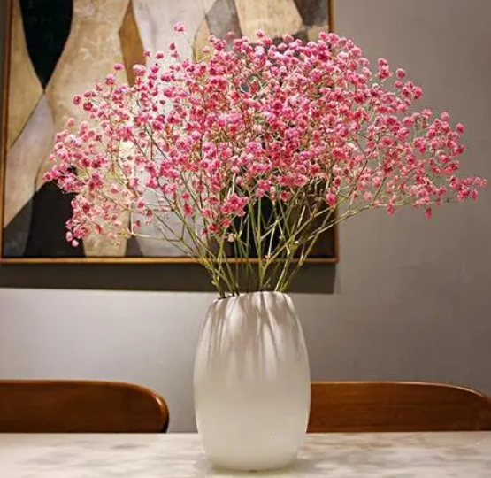 干花在家里怎么摆放