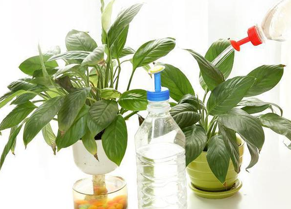 氯化钾可以浇花用吗