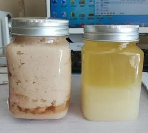 过期蜂蜜能做花肥吗