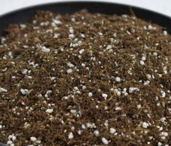 兰花用草炭土还是泥炭土好