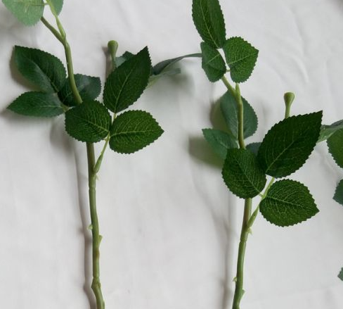 修剪掉的玫瑰花枝可以种活么