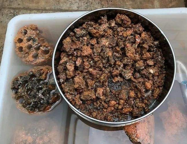 蜂窝煤渣养花的注意事项