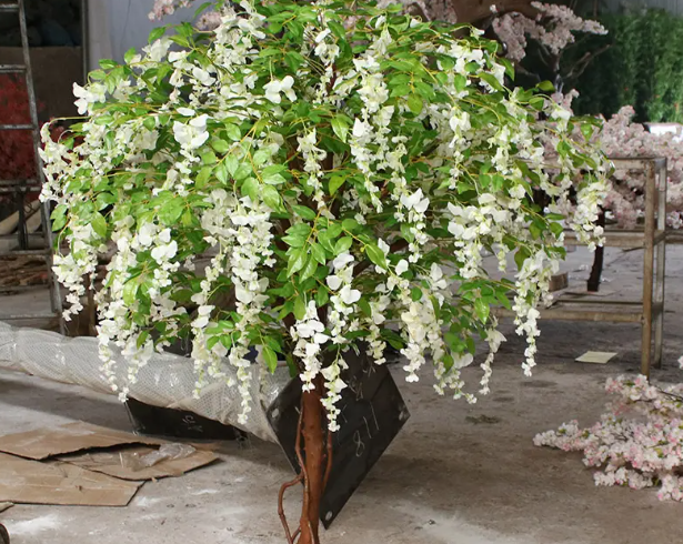 盆栽看豆花的修剪方法