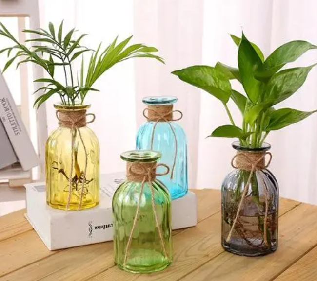 小玻璃瓶养什么花