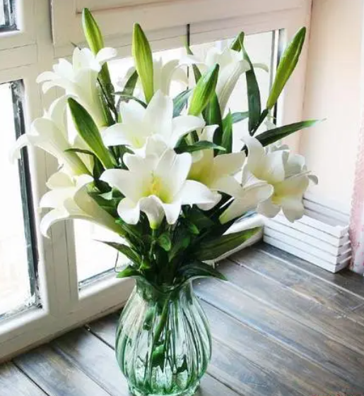 百合鲜花怎么养时间比较久