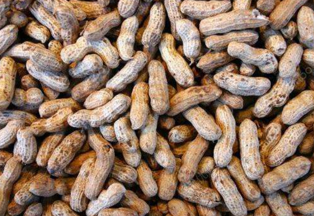 过期花生米能做花肥吗