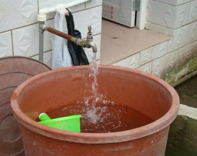 自来水怎么处理可以直接浇花