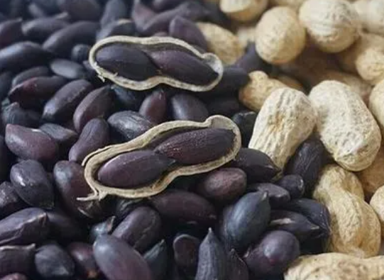 黑花生种植田间管理技术如何呢