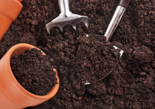 咖啡渣做肥料适合什么花