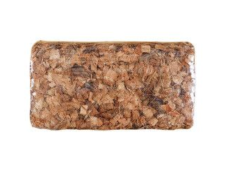 纯椰糠砖养兰花好吗