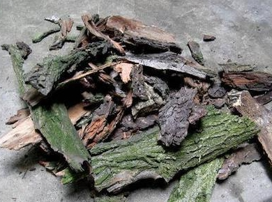 柳树皮泡水适宜浇什么花