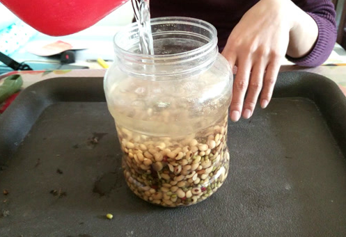 怎样泡黄豆水浇花