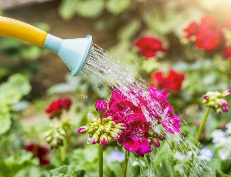 自来水怎样处理才能浇花