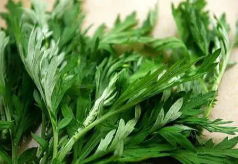 用过的艾叶水能浇花吗