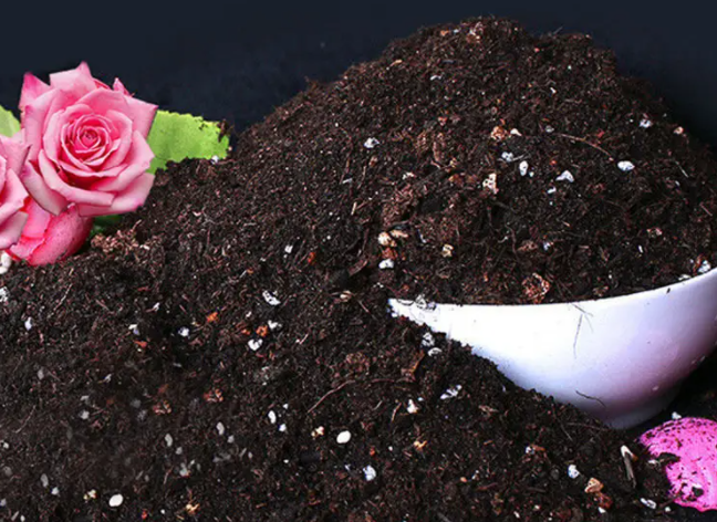 果树盆栽的营养土配方