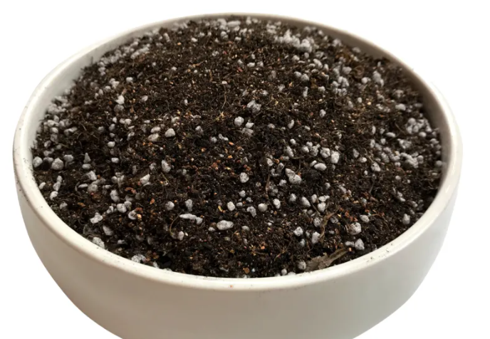 种花能直接用黑土吗