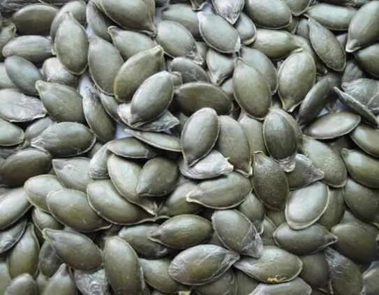 南瓜子壳可以泡水浇花吗