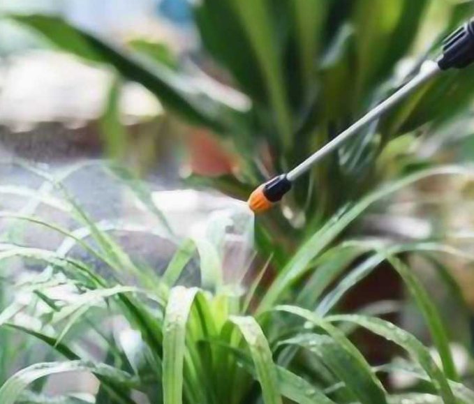 接雨水浇花好吗