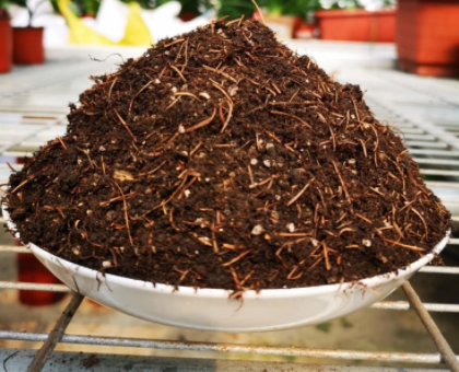 纯松针腐叶土养花好吗