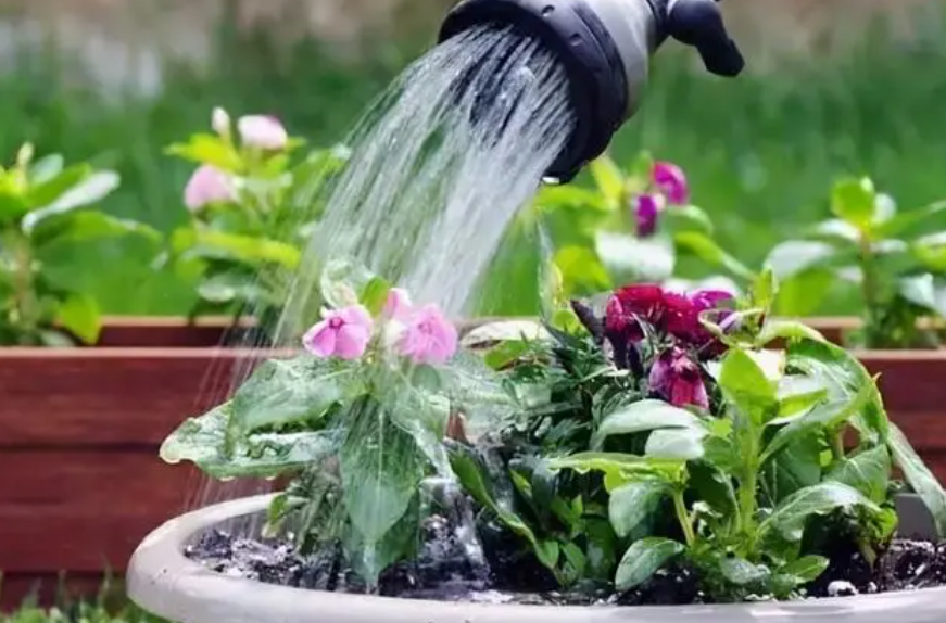 洗菜水放臭了能浇花吗