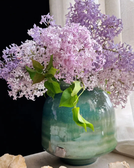 丁香花怎么种在庭院