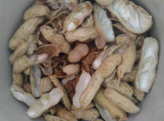 炒的花生壳可以做肥料吗