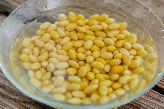 黄豆水的功效与作用浇花