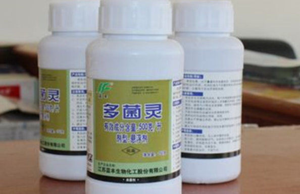 多菌灵浇花会不会死
