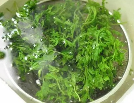 艾草水浇花的好处