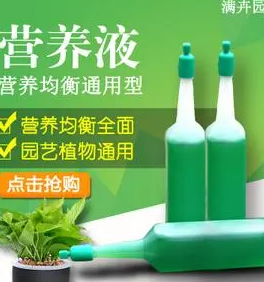 鲜花营养液自制