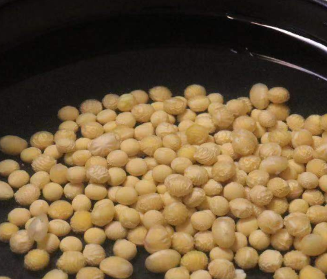 煮黄豆水浇花的步骤